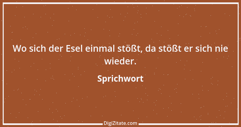 Zitat von Sprichwort 11951