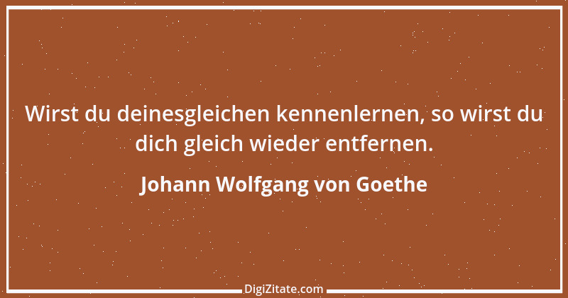 Zitat von Johann Wolfgang von Goethe 3960