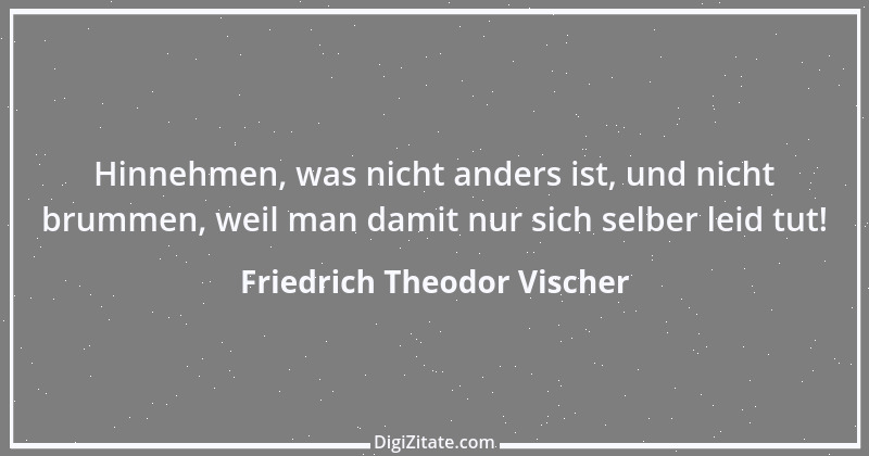 Zitat von Friedrich Theodor Vischer 92