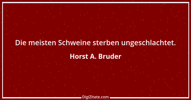 Zitat von Horst A. Bruder 92