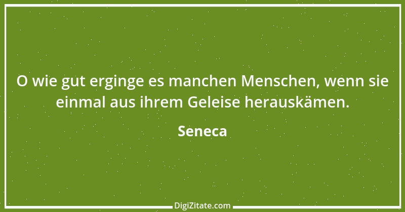 Zitat von Seneca 97