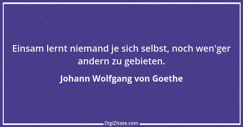 Zitat von Johann Wolfgang von Goethe 3962