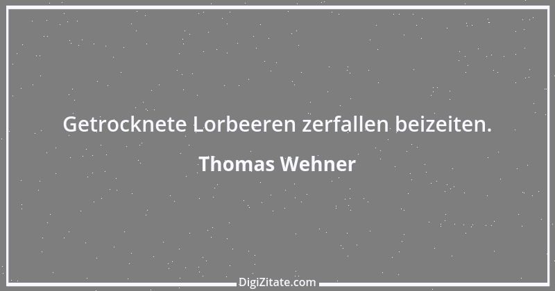 Zitat von Thomas Wehner 7