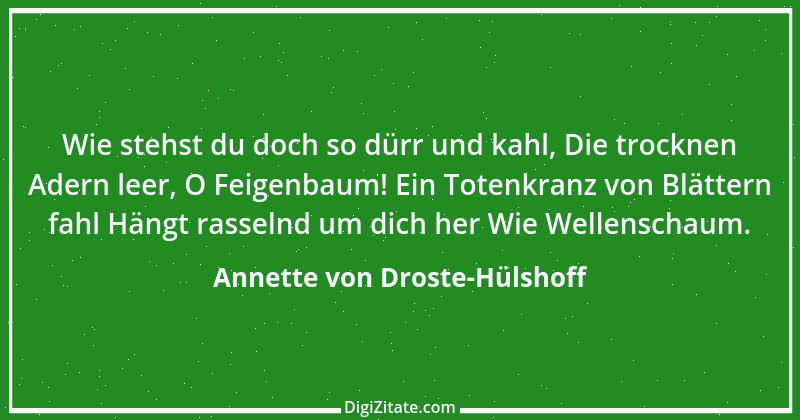 Zitat von Annette von Droste-Hülshoff 20