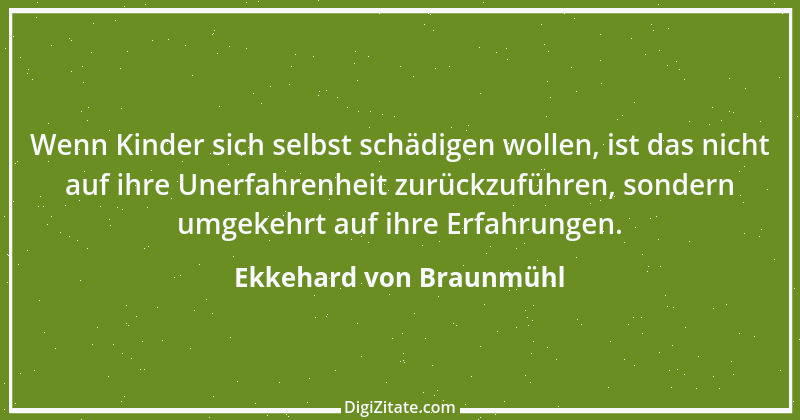 Zitat von Ekkehard von Braunmühl 1