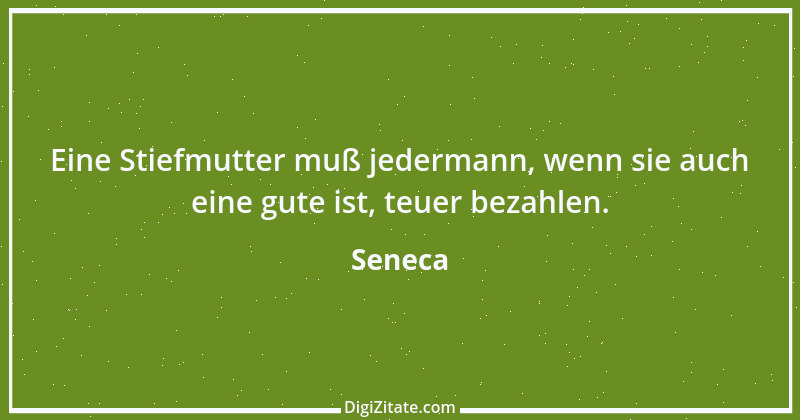 Zitat von Seneca 102