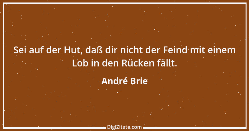 Zitat von André Brie 249