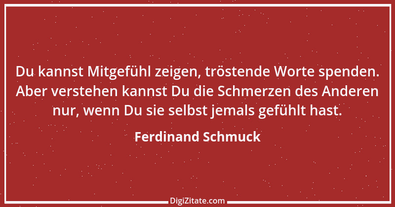 Zitat von Ferdinand Schmuck 4