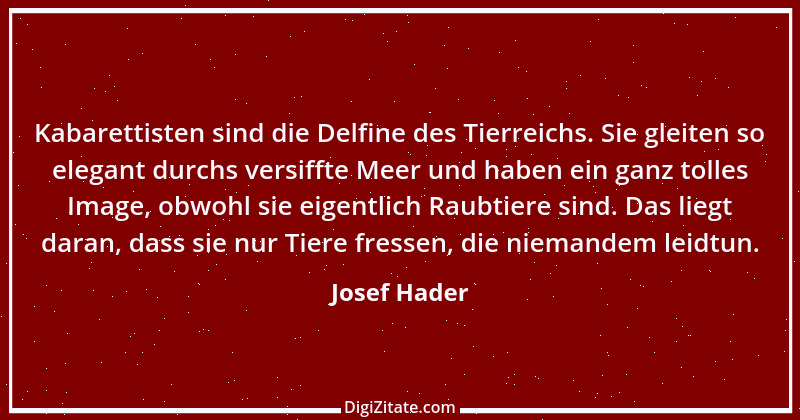 Zitat von Josef Hader 1