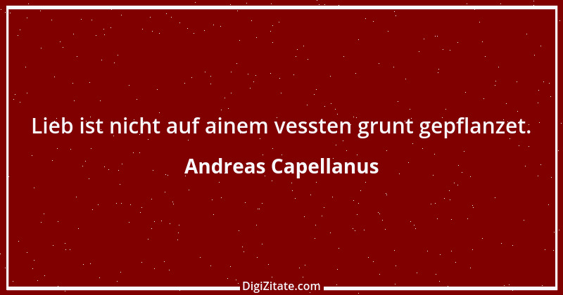 Zitat von Andreas Capellanus 2