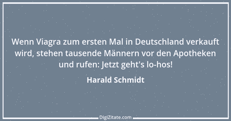 Zitat von Harald Schmidt 288