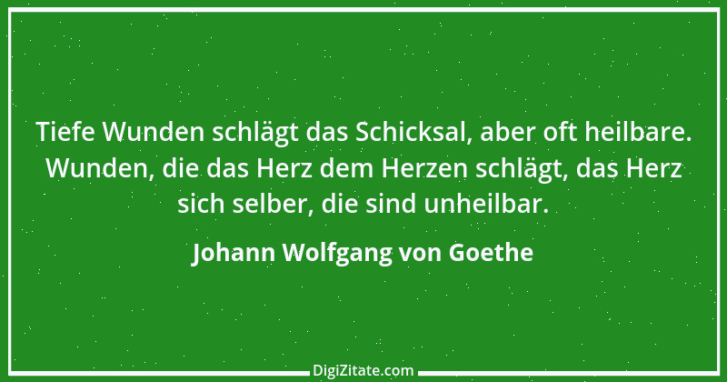 Zitat von Johann Wolfgang von Goethe 2970