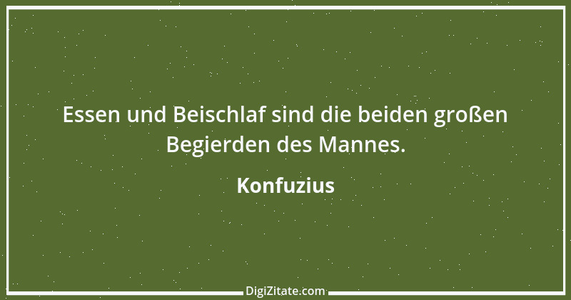 Zitat von Konfuzius 213