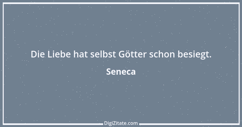 Zitat von Seneca 106