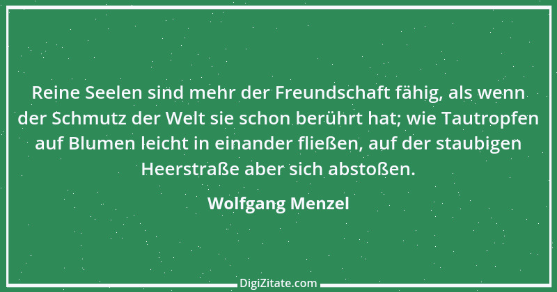 Zitat von Wolfgang Menzel 15