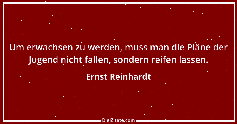 Zitat von Ernst Reinhardt 212