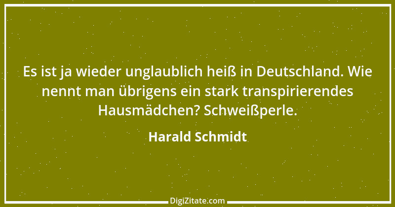 Zitat von Harald Schmidt 290