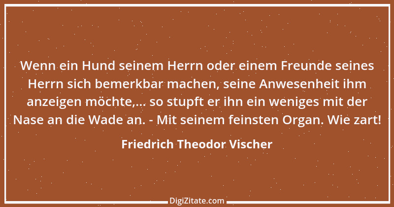 Zitat von Friedrich Theodor Vischer 104