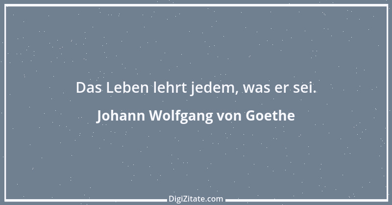 Zitat von Johann Wolfgang von Goethe 3974