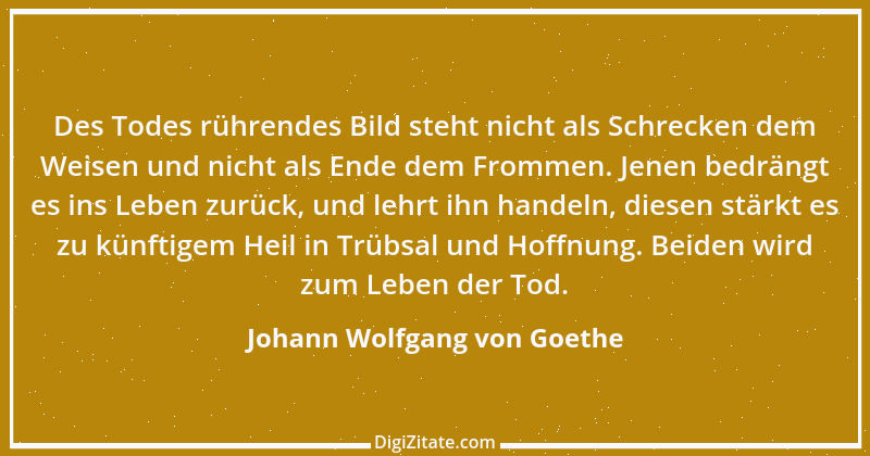 Zitat von Johann Wolfgang von Goethe 3975