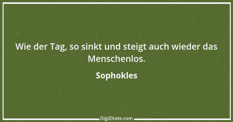 Zitat von Sophokles 23