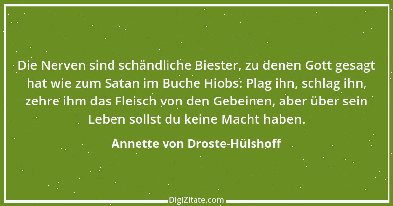 Zitat von Annette von Droste-Hülshoff 31