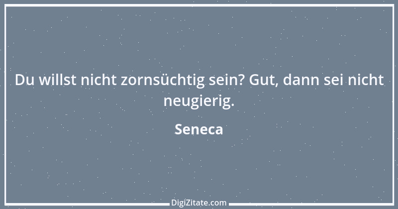 Zitat von Seneca 112