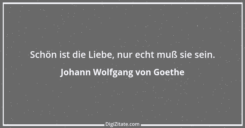 Zitat von Johann Wolfgang von Goethe 2977