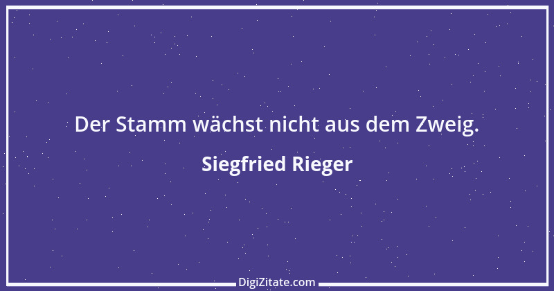 Zitat von Siegfried Rieger 17