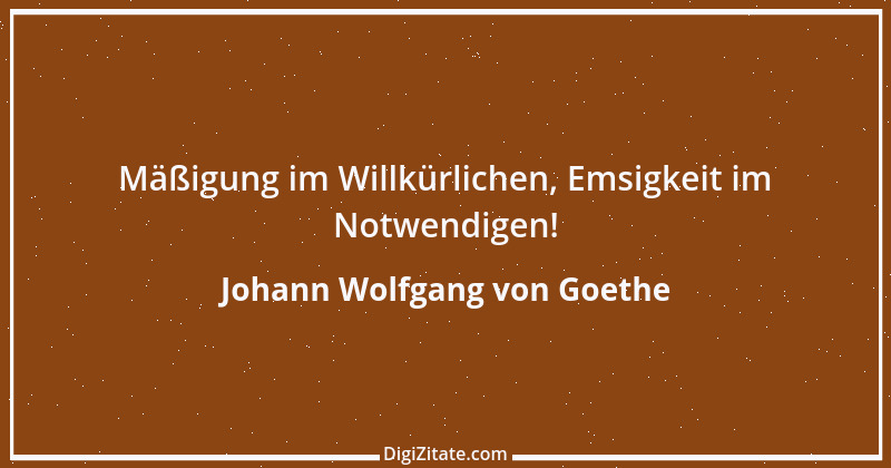 Zitat von Johann Wolfgang von Goethe 1979