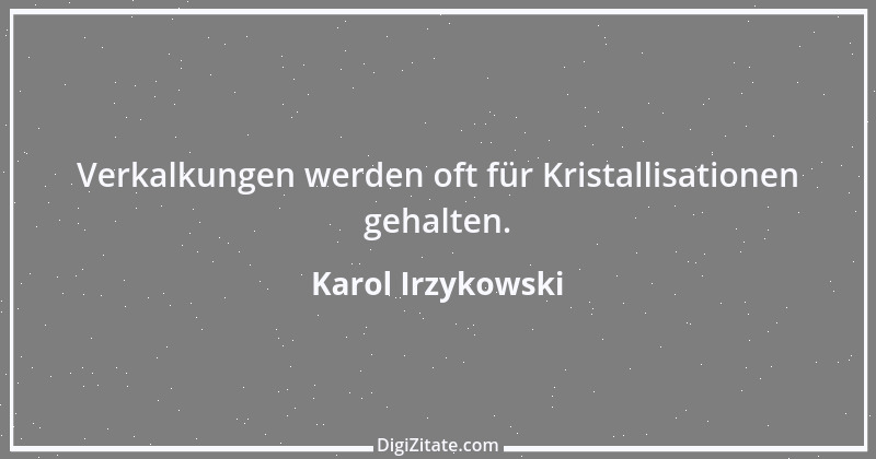 Zitat von Karol Irzykowski 5