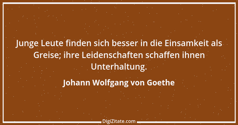 Zitat von Johann Wolfgang von Goethe 3980