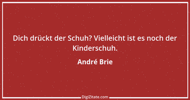 Zitat von André Brie 262