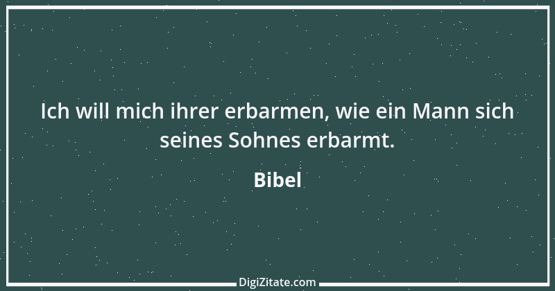 Zitat von Bibel 17