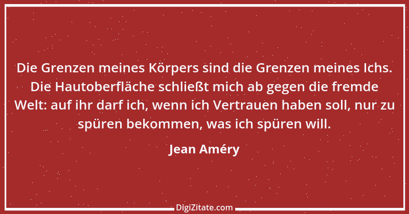 Zitat von Jean Améry 2