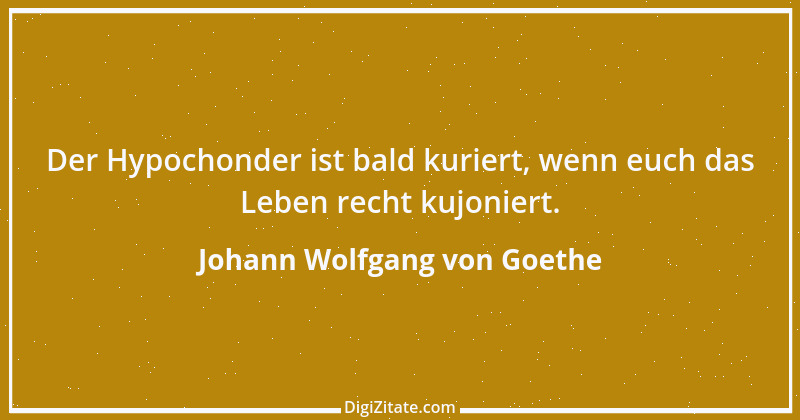 Zitat von Johann Wolfgang von Goethe 2983