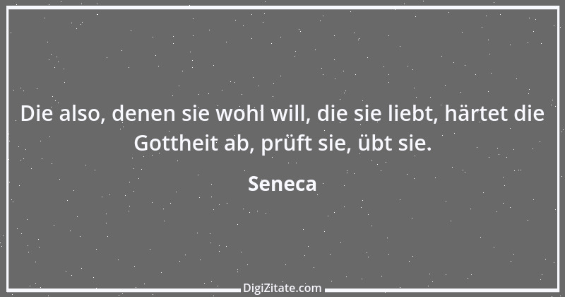 Zitat von Seneca 119