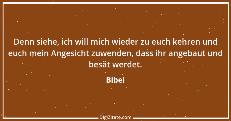 Zitat von Bibel 19