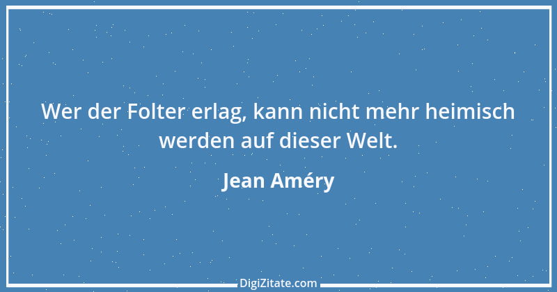 Zitat von Jean Améry 3