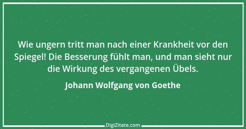 Zitat von Johann Wolfgang von Goethe 3984