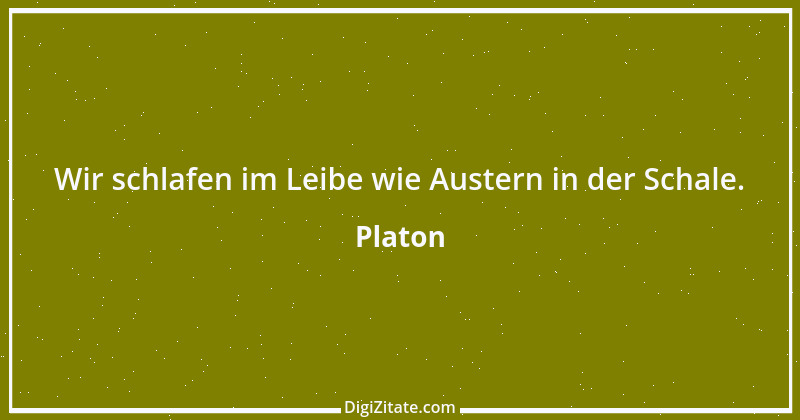 Zitat von Platon 20