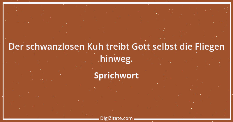 Zitat von Sprichwort 3976