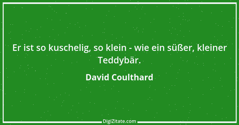 Zitat von David Coulthard 13