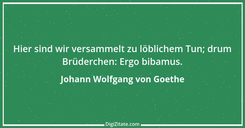 Zitat von Johann Wolfgang von Goethe 2985