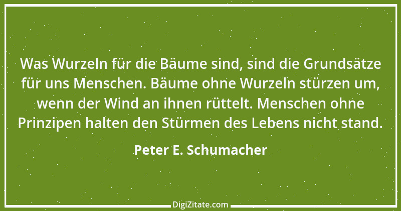 Zitat von Peter E. Schumacher 557