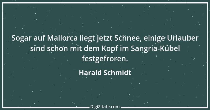 Zitat von Harald Schmidt 304