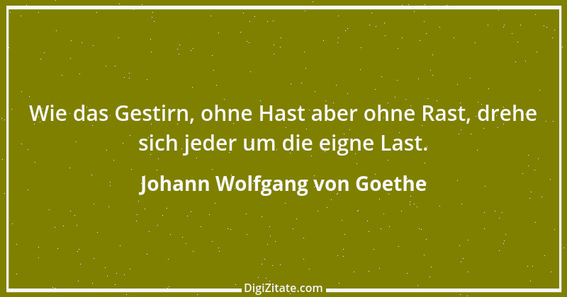 Zitat von Johann Wolfgang von Goethe 986