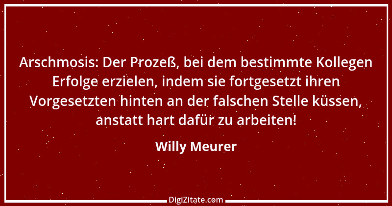 Zitat von Willy Meurer 287