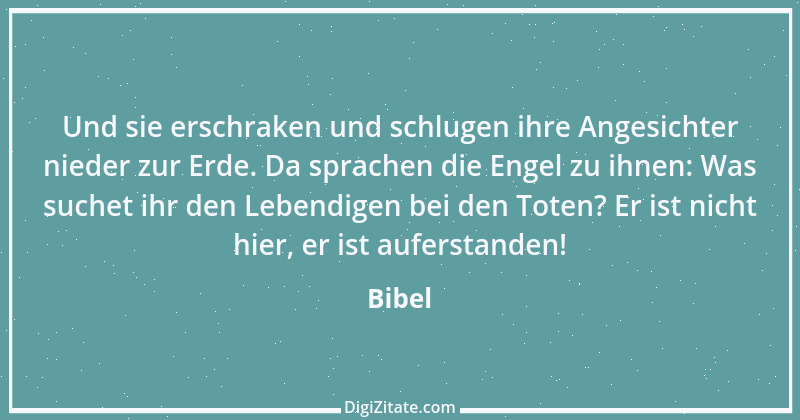 Zitat von Bibel 23