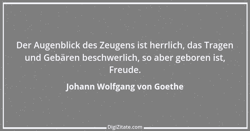 Zitat von Johann Wolfgang von Goethe 988